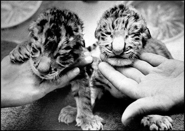 From The Archives: The Omaha zoo